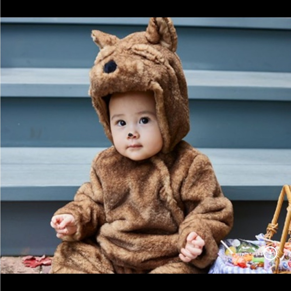 Pottery Barn Kids Toto Dog Costume